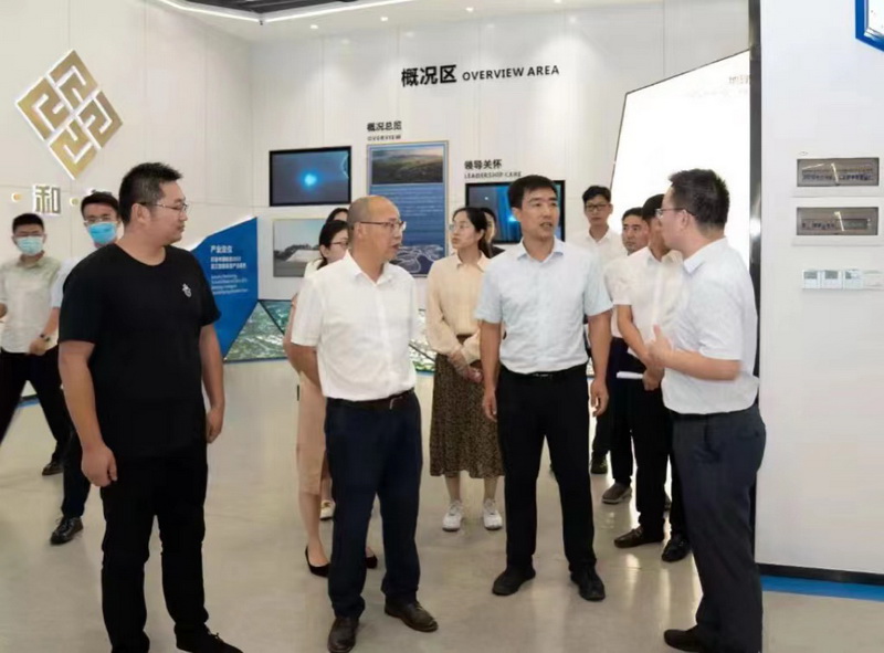 杭州风貌办美丽城镇组领导走访卓领物联